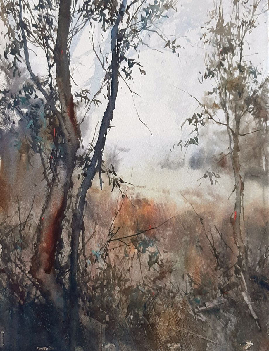 Misty Bush Scene