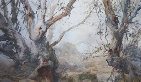 Snowgums Mt Torbreck - HIGHLY COMMENDED